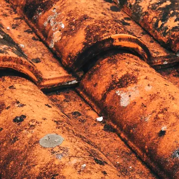 Dark staining on clay roof tiles