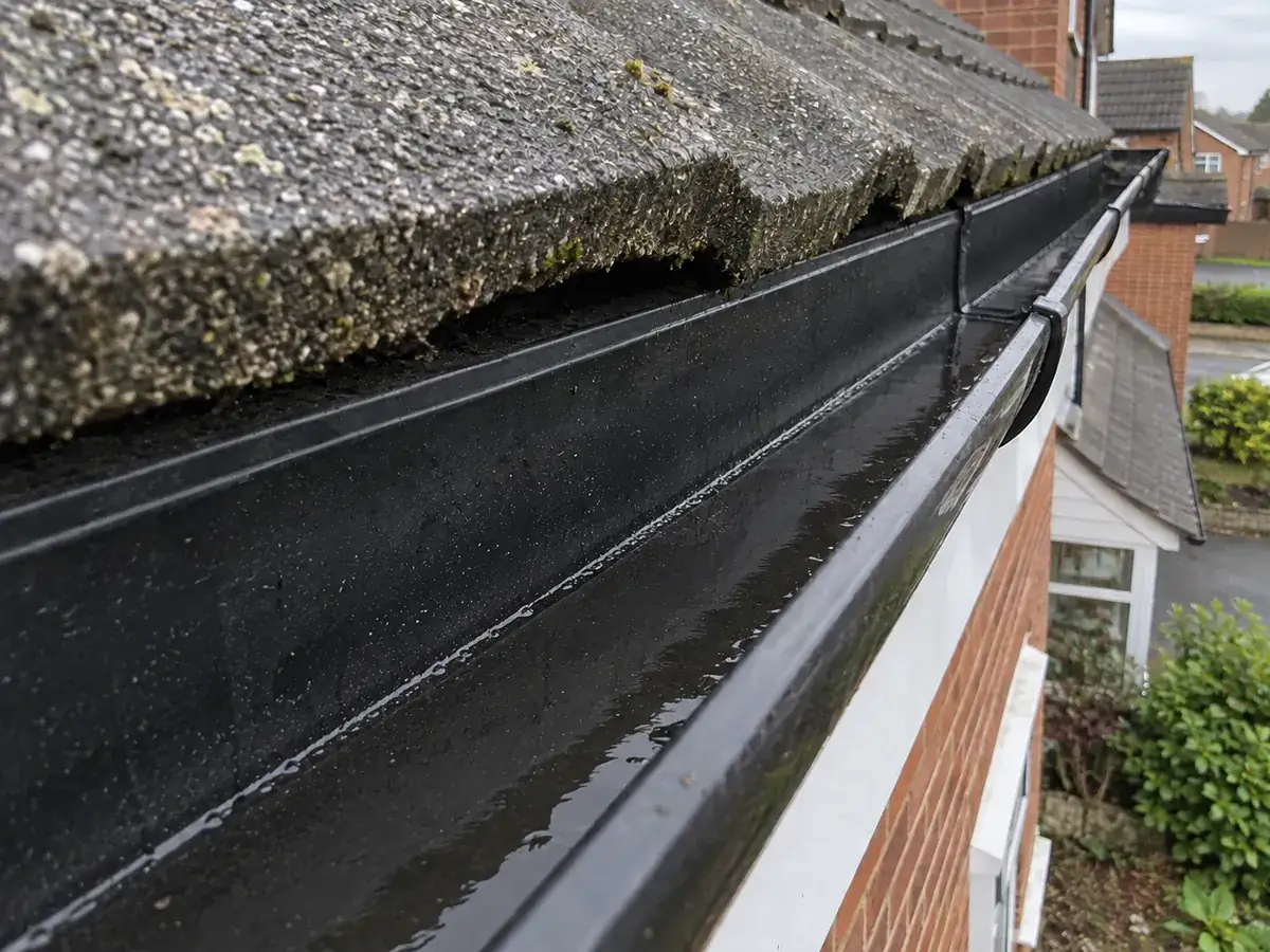 The same gutter cleared