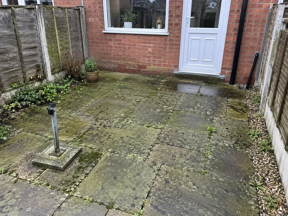 Green, mossy sandstone patio before cleaning