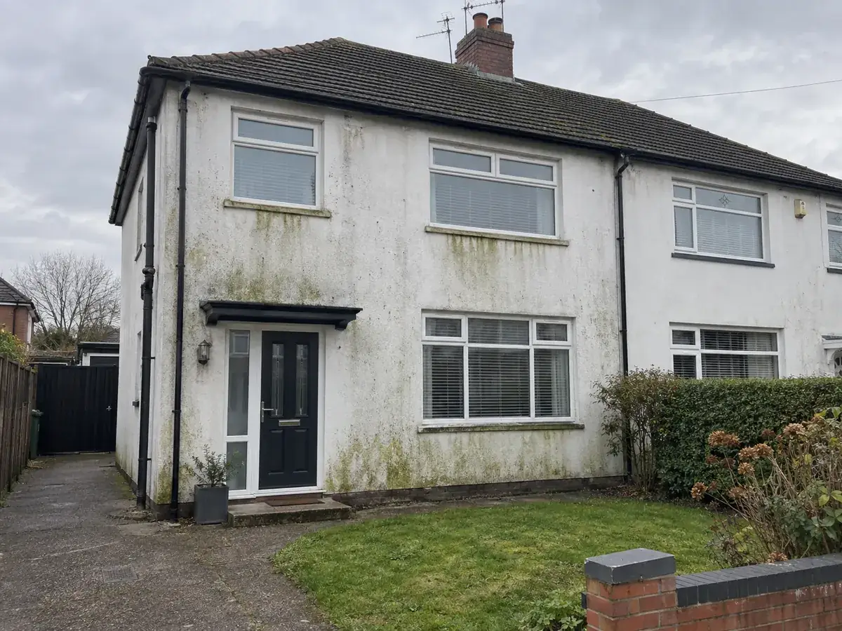 Rendered house with green algae staining before cleaning